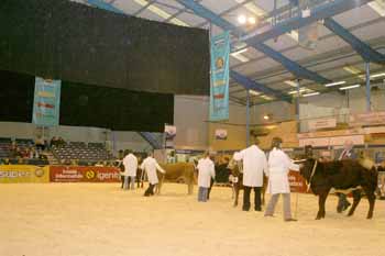 ANM-RSS-1206-0979