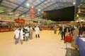 ANM-RSS-1206-0976