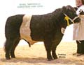 ANM-RSS-1206-1405