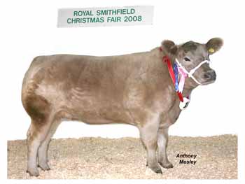 ANM-RSS-1208-3348
