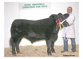ANM-RSS-1208-3828 