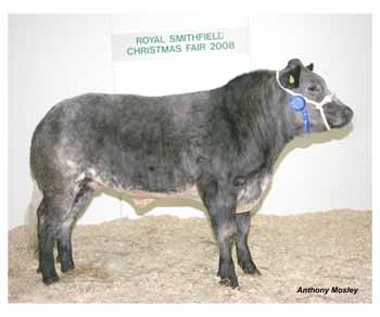 ANM-RSS-1208-3832