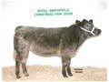 ANM-RSS-1208-3360