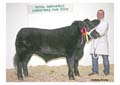 ANM-RSS-1208-3828 