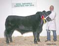 ANM-RSS-1208-3828