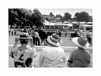 IMG_1296 BW