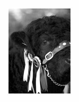 IMG_1942 BW
