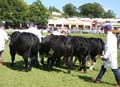IMG_0927