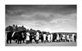 IMG_1493 BW v2