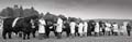 IMG_1493 BW v3