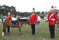 IMG_1668