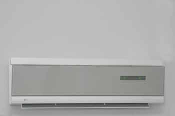 ANM-SS-1004-0272