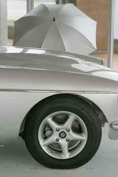 ANM-SS-1004-0302
