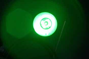 ANM-SS-1005-0138