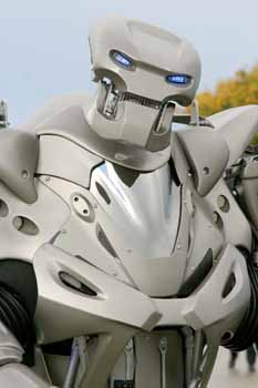 ANM-SS-1005-0308