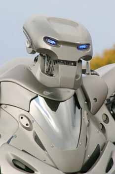 ANM-SS-1005-0309