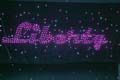 ANM-SS-1005-0149