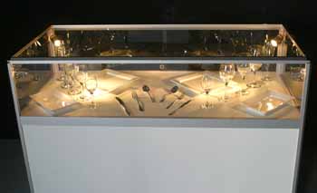 ANM-SS-1006-0331
