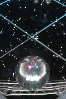 ANM-SS-1006-0390