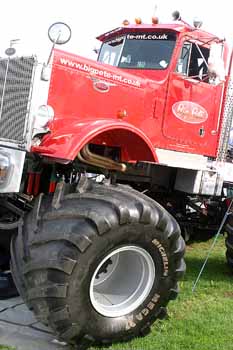 ANM-SS-1006-0528