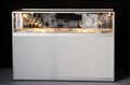 ANM-SS-1006-0298