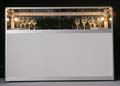 ANM-SS-1006-0322