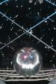 ANM-SS-1006-0390