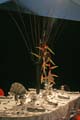 ANM-SS-1006-0966