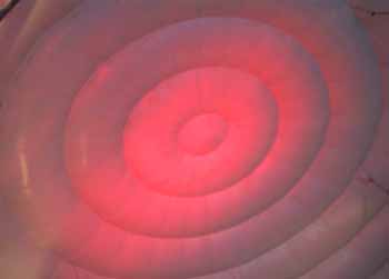 BS-SS-1007-3169