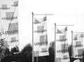 ANM-SS-BW-1007-0385