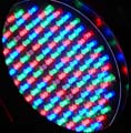 BS-SS-1007-4636