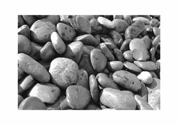 BS-SS-1010-BW 3056