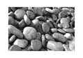 BS-SS-1010-BW 3056