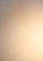 ANM-SS-1011-0231