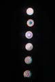 ANM-SS-1011-0615