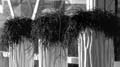 BS-SS-1011-BW-9127