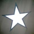 ANM-SS-1014-2036