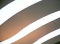 ANM-SS-1014-2040