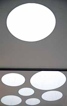 ANM-SS-1015-0050