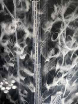 ANM-SS-1015-0365