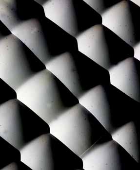 ANM-SS-1016-0538