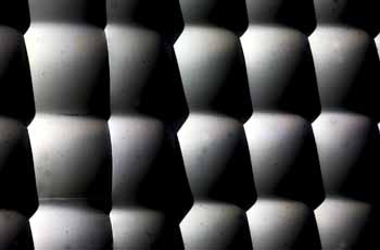 ANM-SS-1016-0539