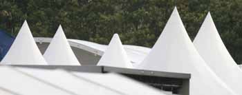 ANM-SS-1016-0557