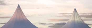 ANM-SS-1016-0655