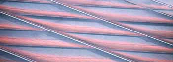 ANM-SS-1016-3032