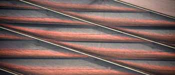 ANM-SS-1016-3033