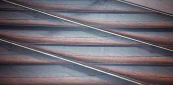 ANM-SS-1016-3036