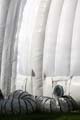 ANM-SS-1016-0529