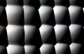 ANM-SS-1016-0539
