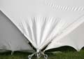 ANM-SS-1016-0540